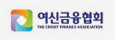 여신금융협회